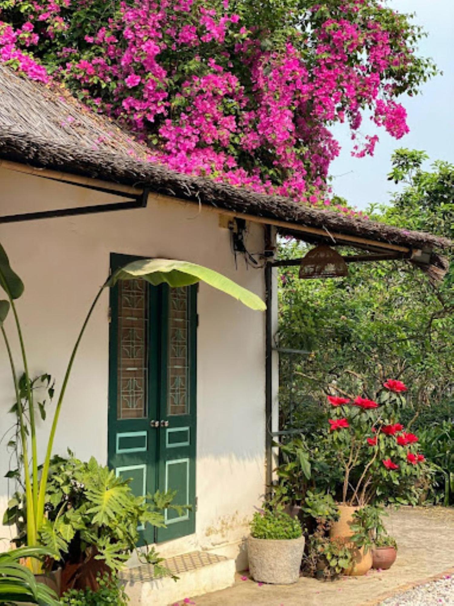 Giang House Leilighet Hòa Bình Eksteriør bilde